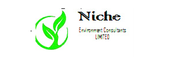 Sonneb Services & Consultants Ltd