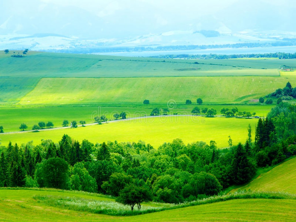The Land Buying Process-Step by Step Guide